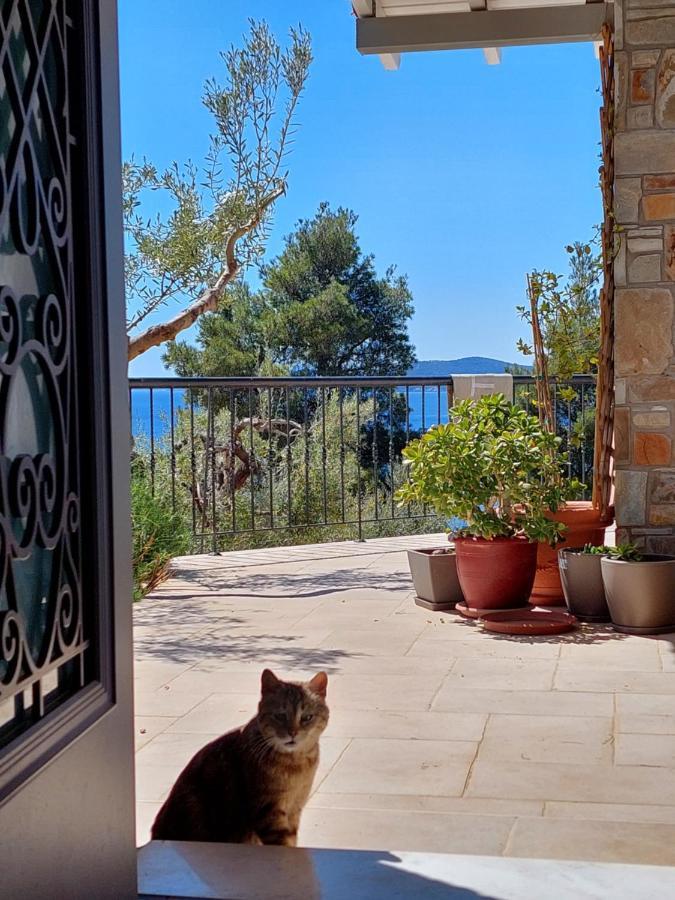 Villa Johell Neos Marmaras Extérieur photo