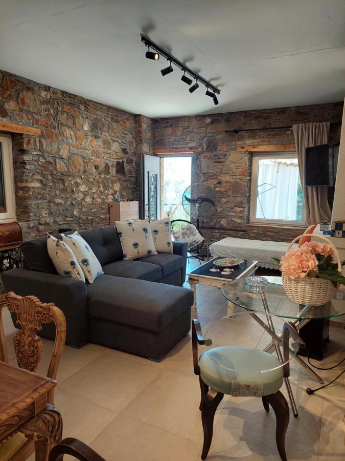 Villa Johell Neos Marmaras Extérieur photo